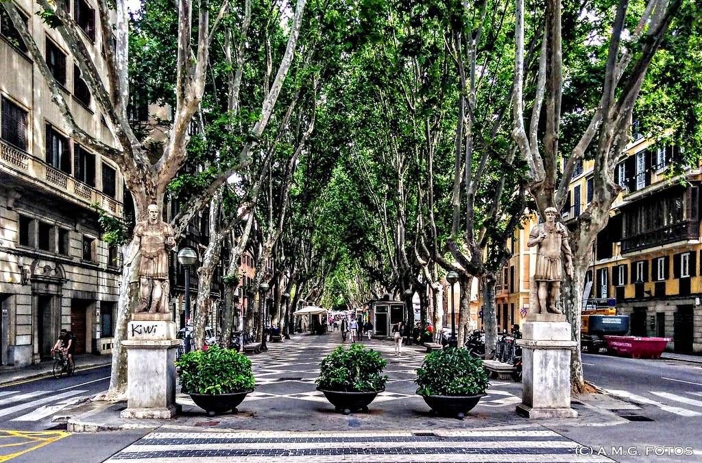 Exterior view of Building for sale in  Palma de Mallorca