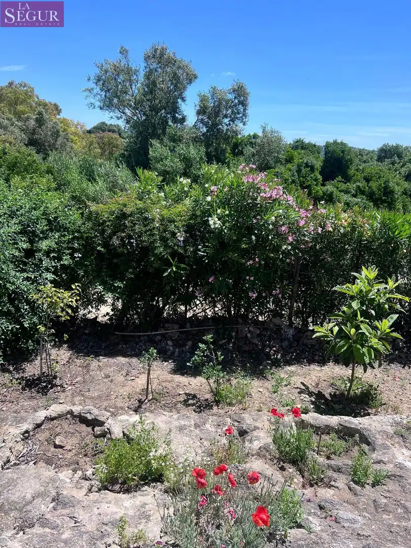Casa o xalet en venda en Vejer de la Frontera amb Jardí privat