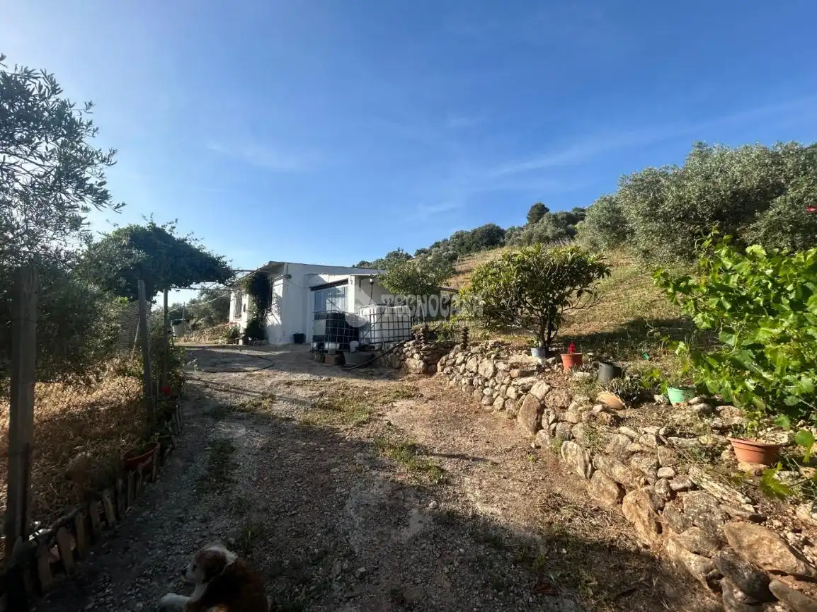 Finca rústica en venta en Antequera