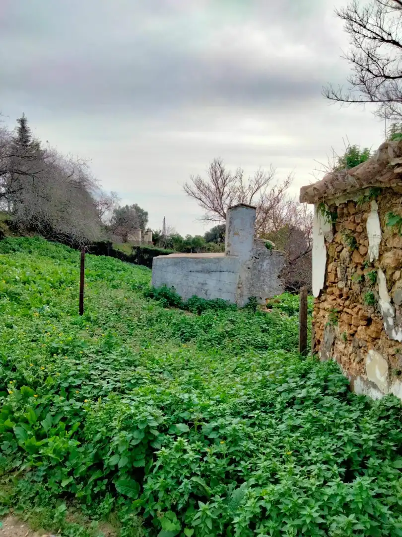 Terreny residencial en venda a Medina Sidonia, imagen 11