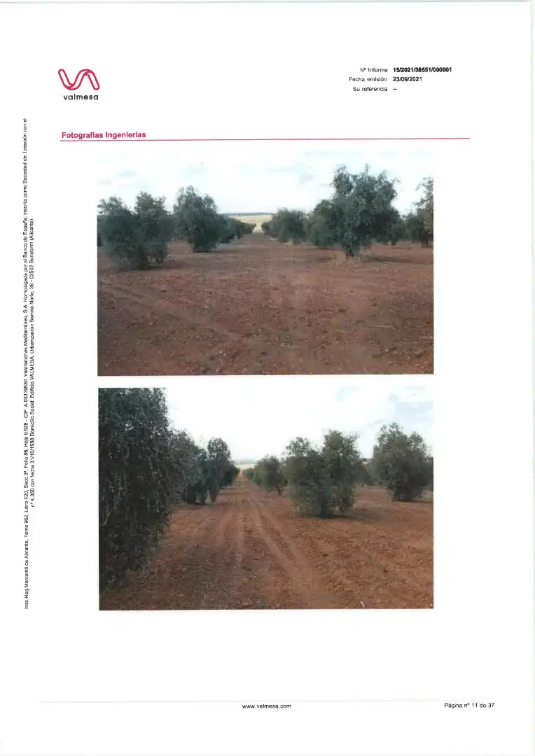 Terreni e lotti in vendita a Pedanías de Badajoz, imagen 12