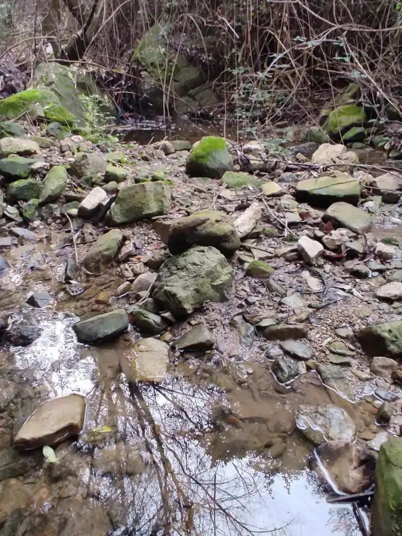 Vista exterior de Finca rústica en venda en Cortes de la Frontera amb Jardí privat, Forn i Rentadora