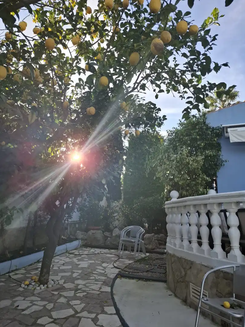 Detached house with pool for sale in Carrer Artemis, imagen 10