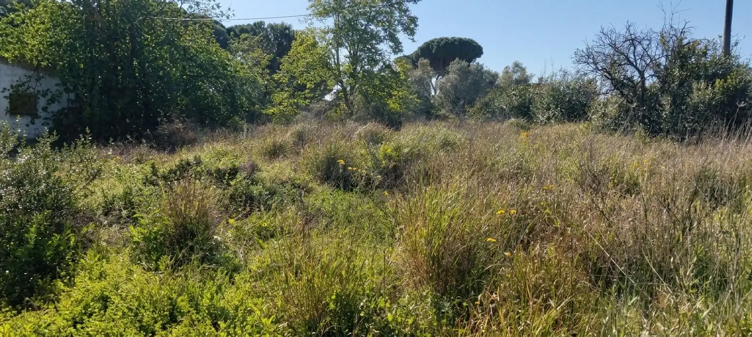 Terreni e lotti in vendita a Los Franceses – La Vega, imagen 20