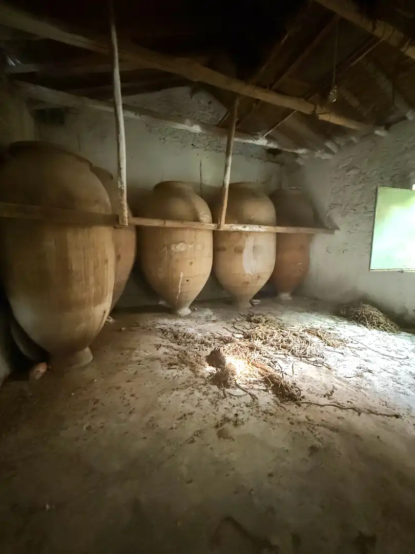 Terreno rustico in vendita a Calle Diseminado, imagen 16