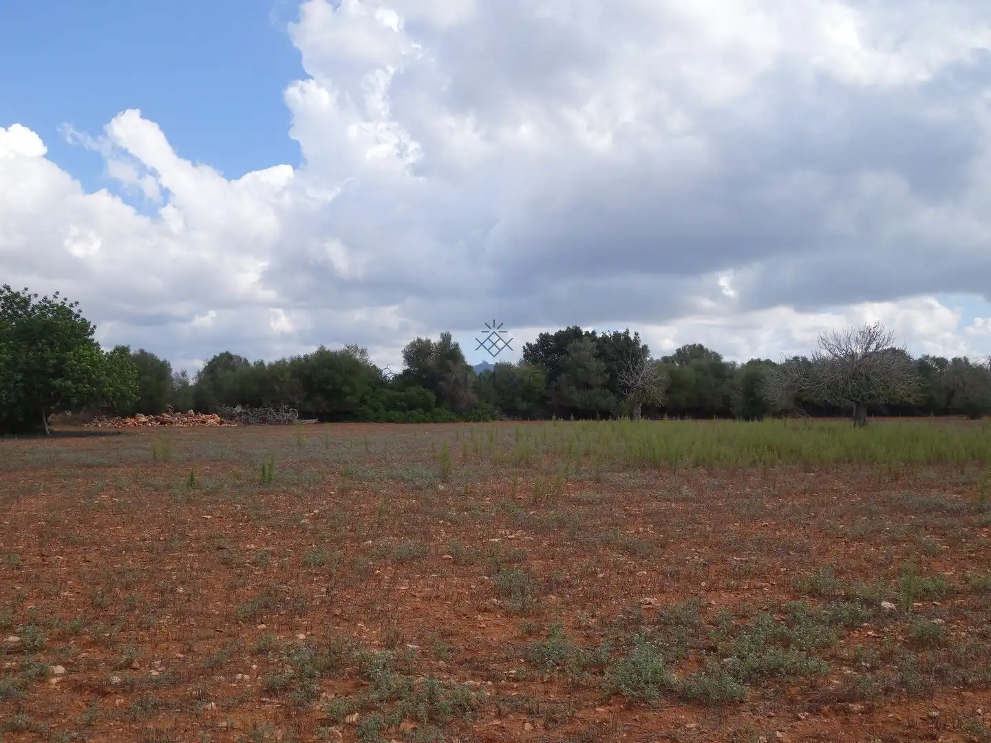 Residential land for sale in Felanitx Poble, imagen 7