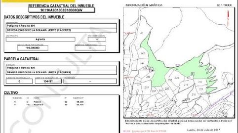 Photo 3 of Residential for sale in N-110 Km.363, Pg 1 Parc.40,890,891,892, -1, Jerte, Cáceres