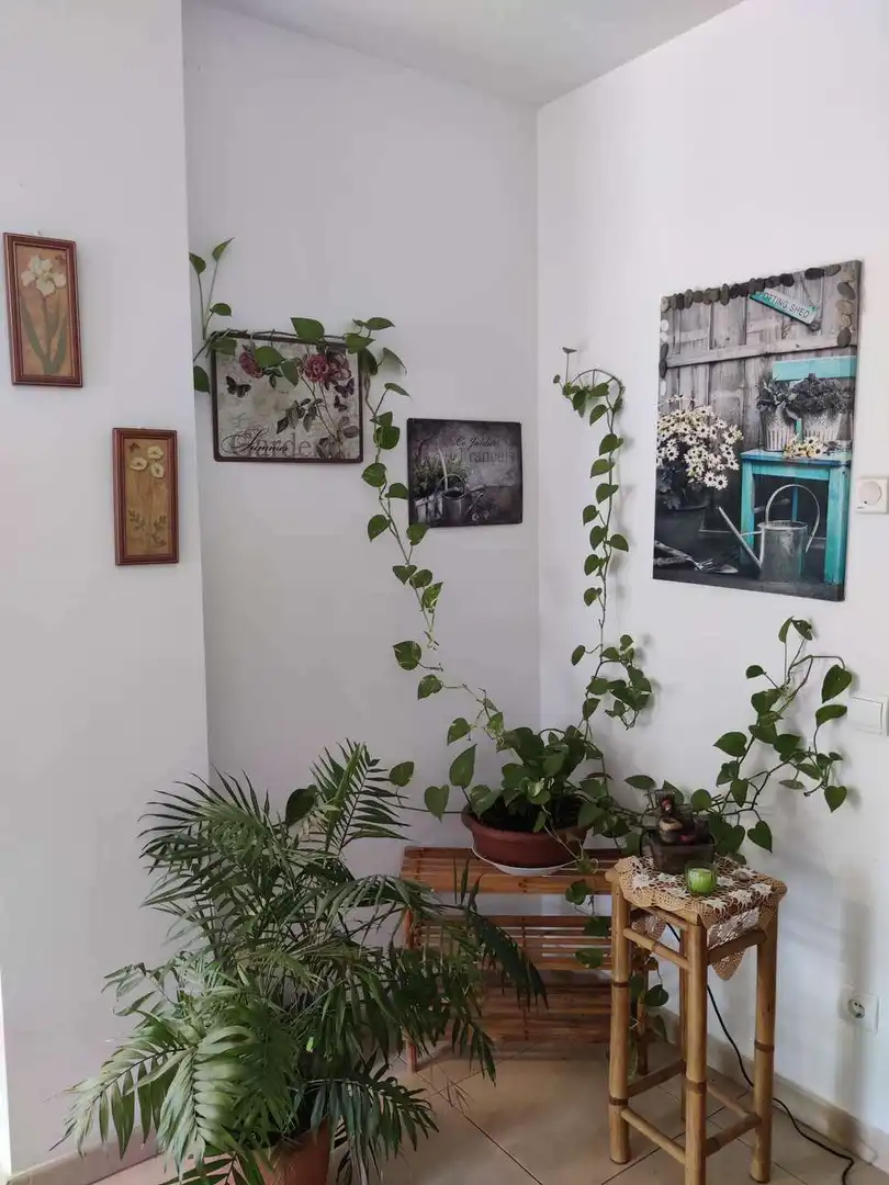 Wohnung mit Terrasse zum Verkauf in Navata, imagen 5