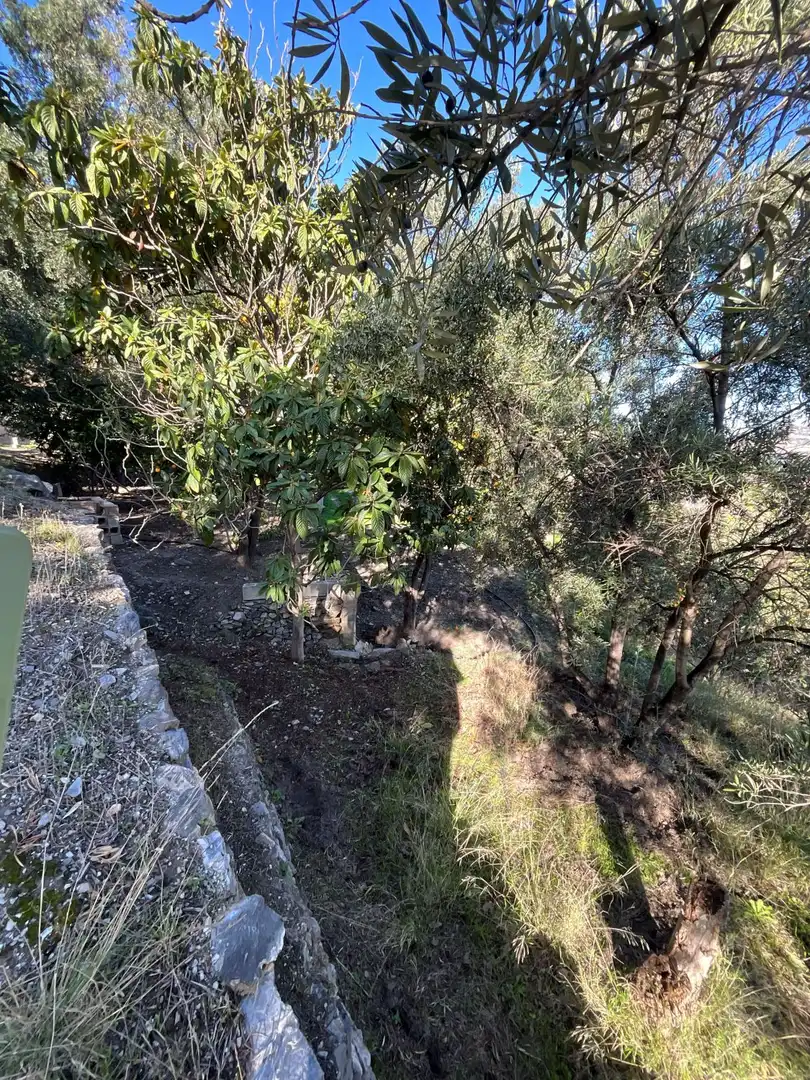 Terreni e lotti in vendita a Solera, imagen 16