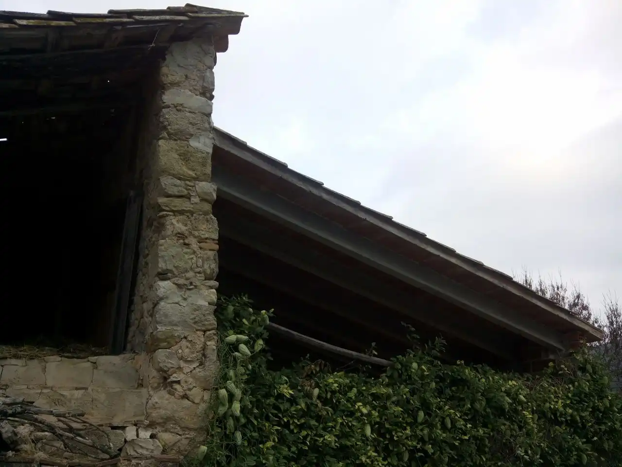 Landhaus mit Garten zum Verkauf in Amer, imagen 24