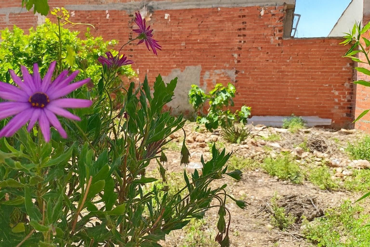 Jardí de Residencial en venda en  Murcia Capital