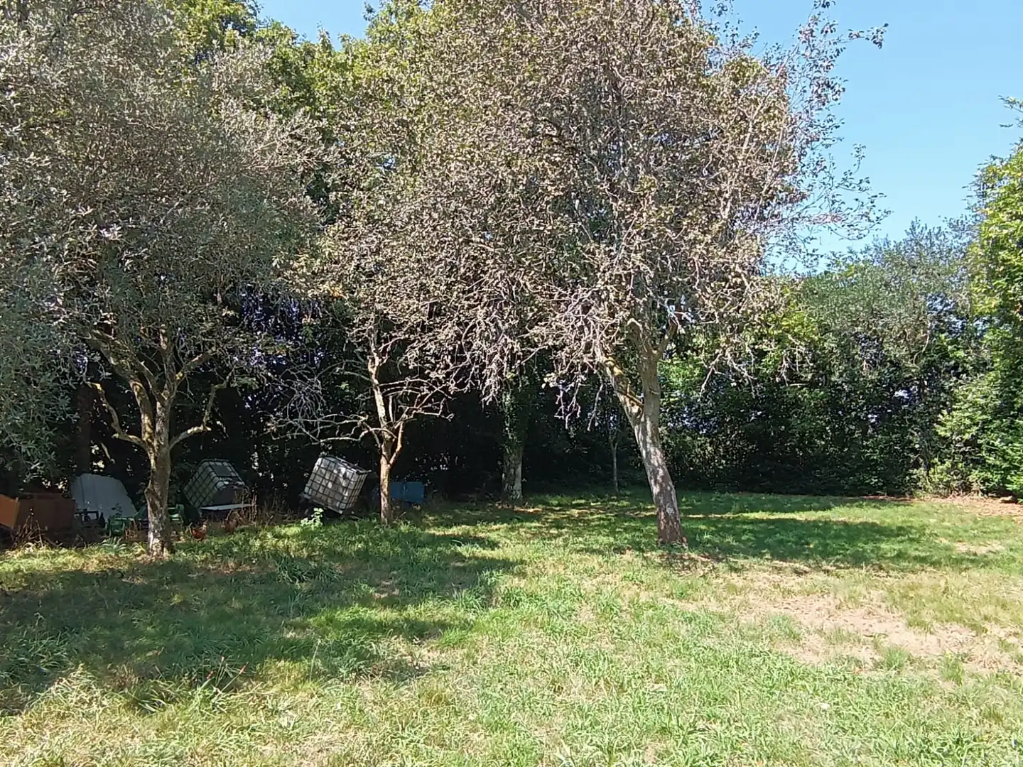 Casa o xalet en venda a Aranga