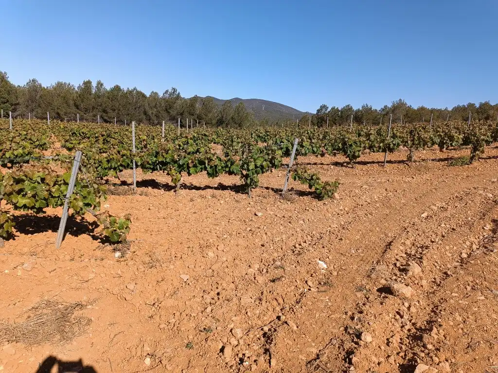 Rustikales Grundstück zum Verkauf in Sant Julià, imagen 14