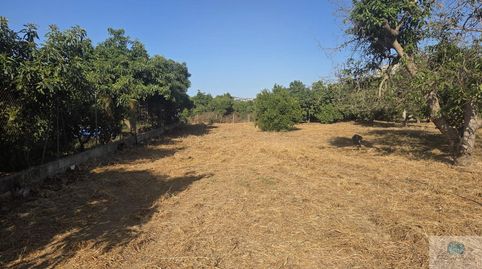 Foto 4 de Residencial en venda a Viejo de Coin, Mijas Golf, Mijas