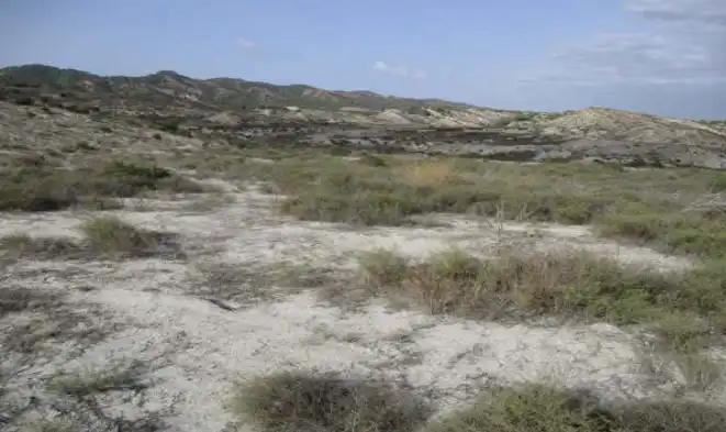 Terreno residenziale in vendita a Campo de Murcia, imagen 4