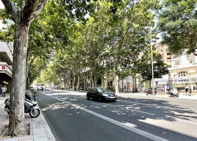 Einzelparkplatz zum Verkauf in Paseo del General Martínez Campos 32, imagen 12