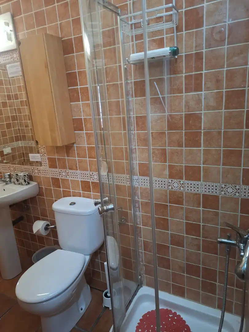 Bathroom of Apartments for rent in Las Palmas de Gran Canaria  with Parquet flooring, Furnished and Washing machine