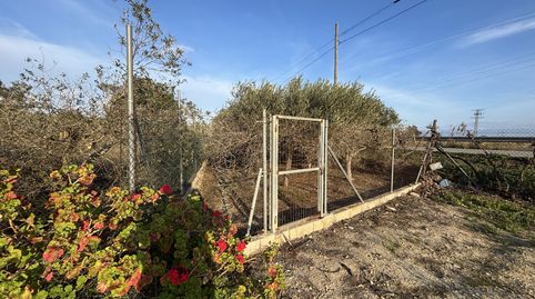 Foto 4 de Finca rústica en venta en Nord, La Ràpita