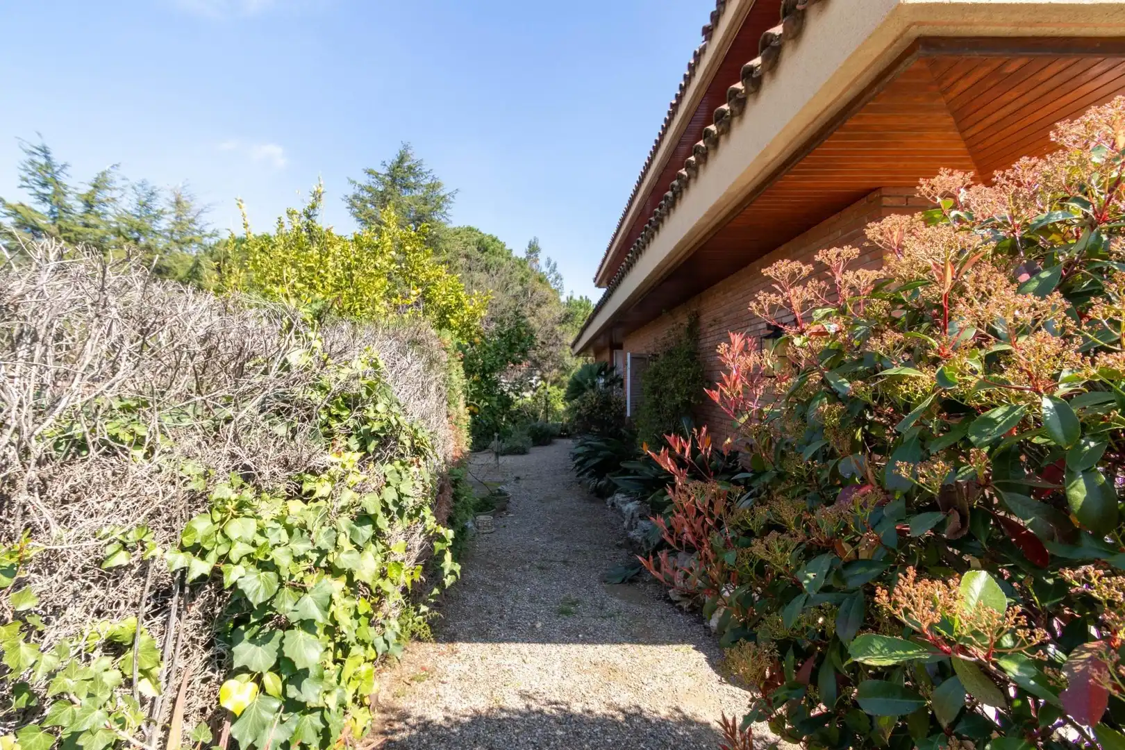 Maison à vendre à Poble, imagen 20