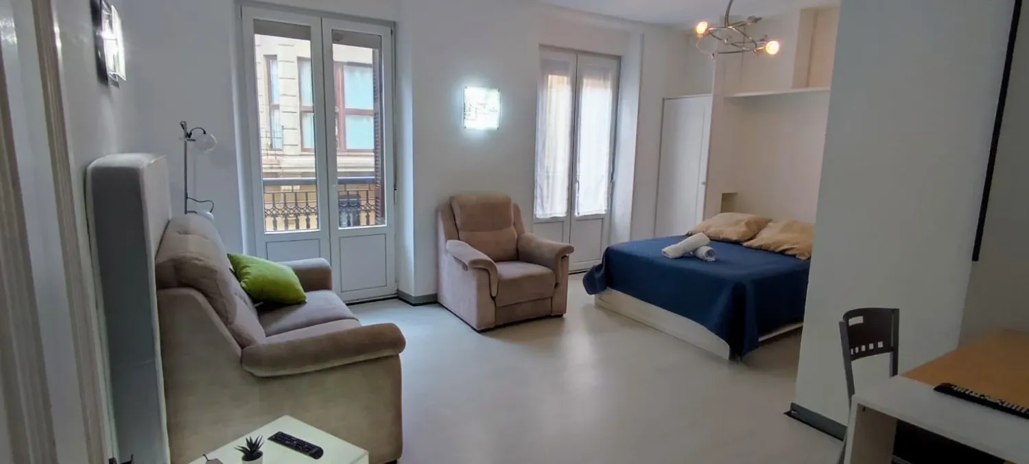 Sala d'estar de Pis de lloguer en Donostia - San Sebastián  amb Calefacció, Moblat i Forn