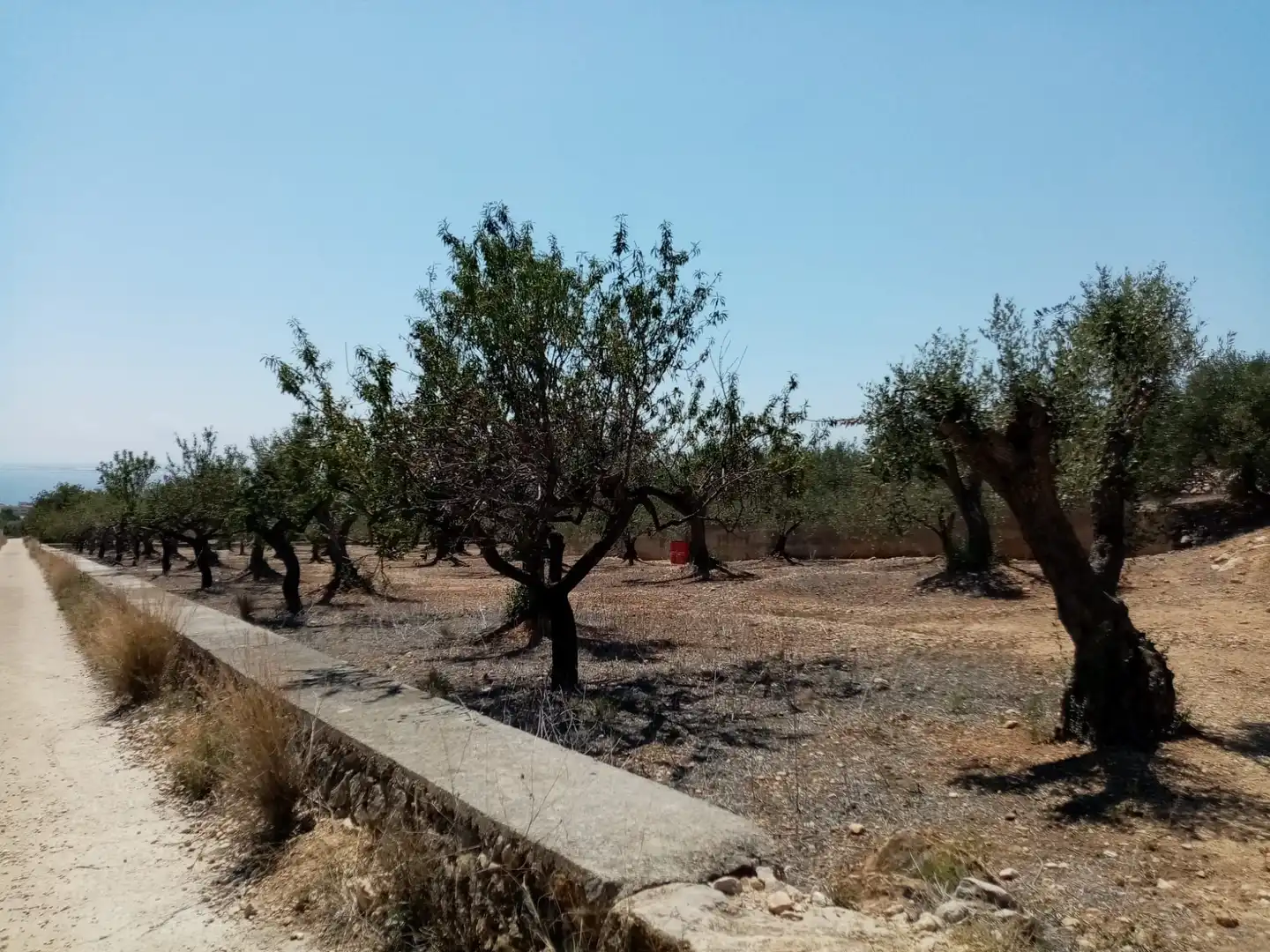 Rustikales Grundstück zum Verkauf in Vial Camino, imagen 4