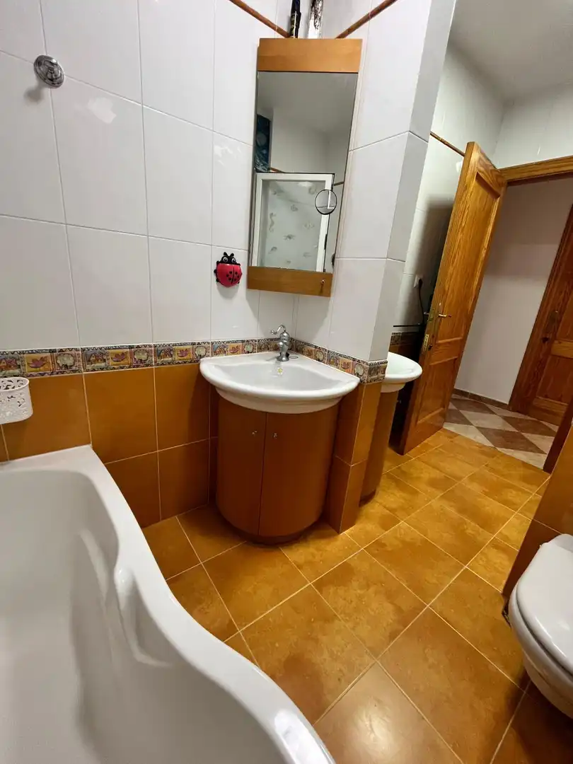 House with terrace for sale in Calle RUGGERO GASPARET, imagen 12