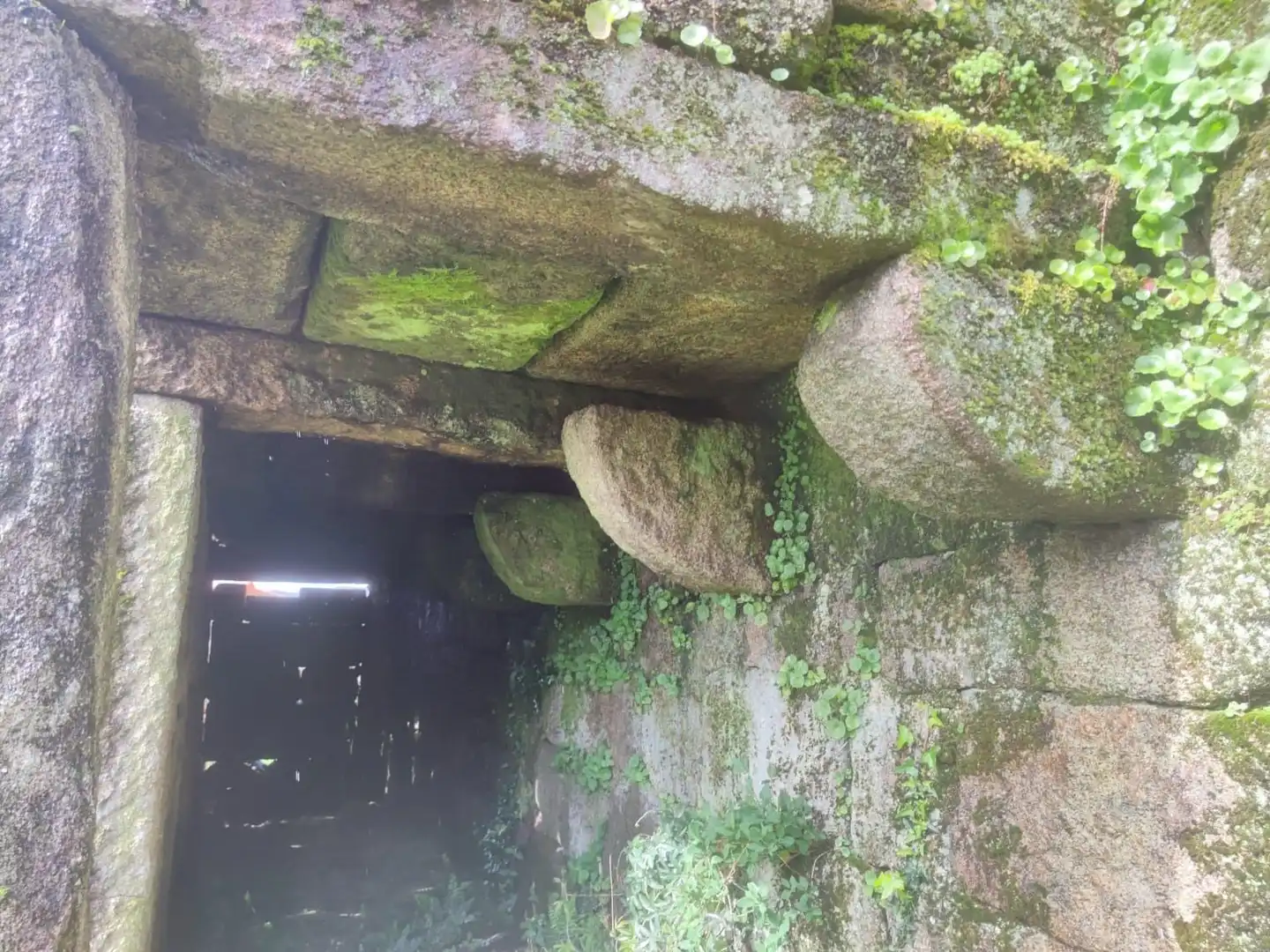 Terreno rustico in vendita a Ponte Caldelas, imagen 12