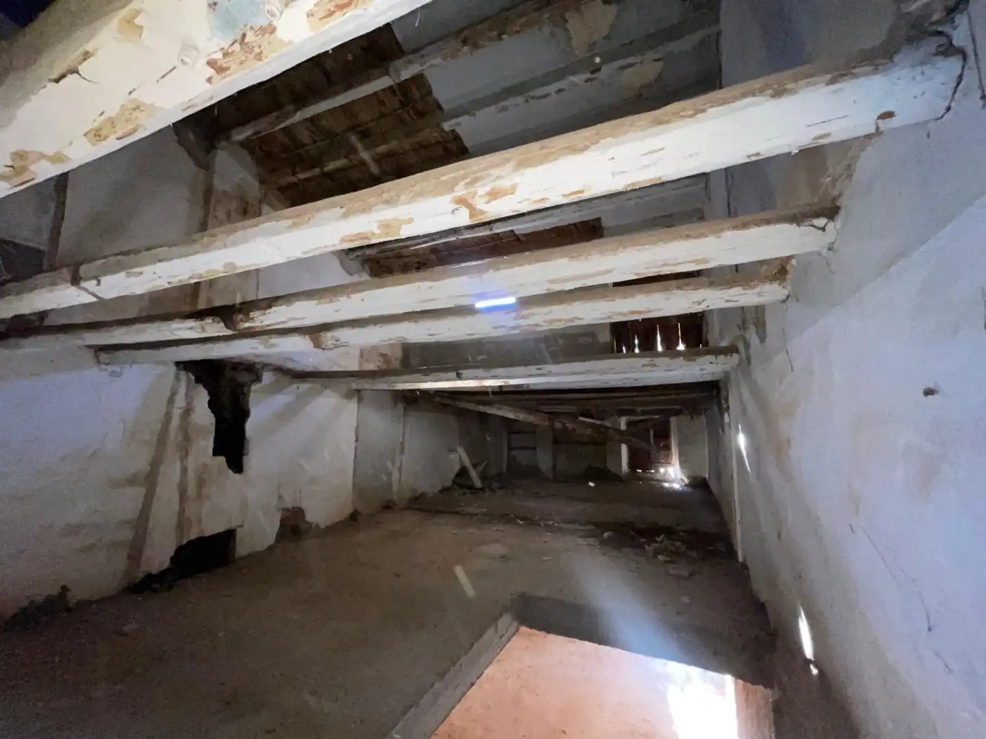 Maison à vendre à CALVARI, imagen 7
