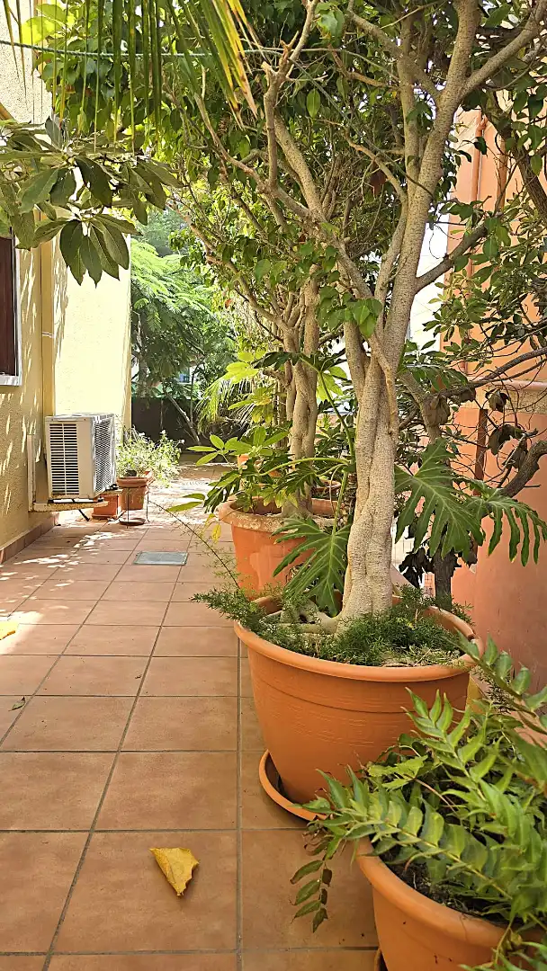 Villa mit Garten zum Verkauf in Calle Teniente C Castillo Olivares, imagen 63
