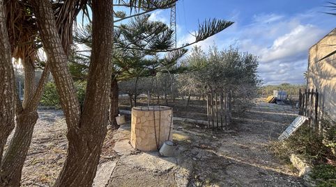 Foto 5 de Finca rústica en venta en Nord, La Ràpita