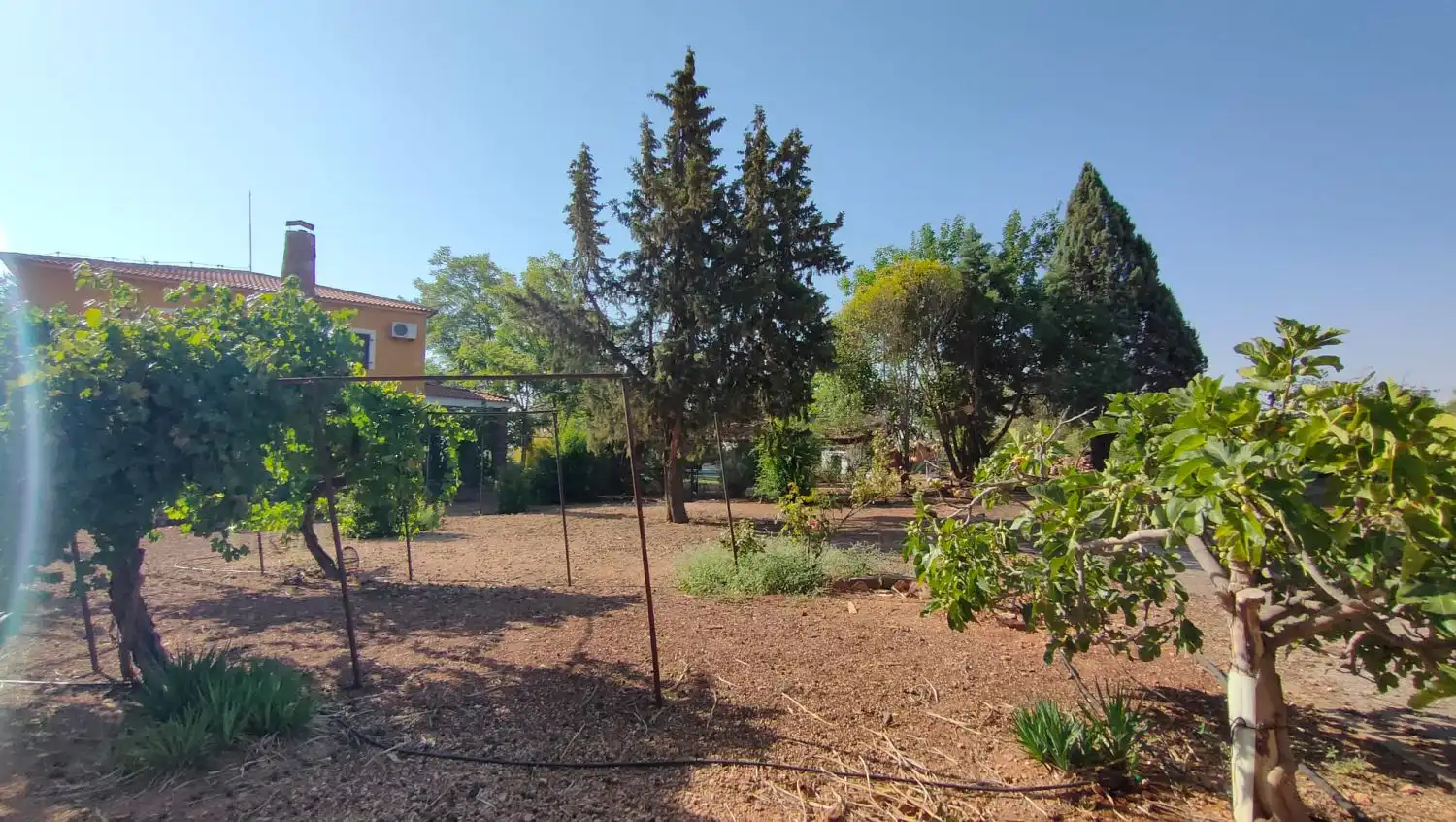 Casa rústica en venda a Valdepeñas, imagen 64