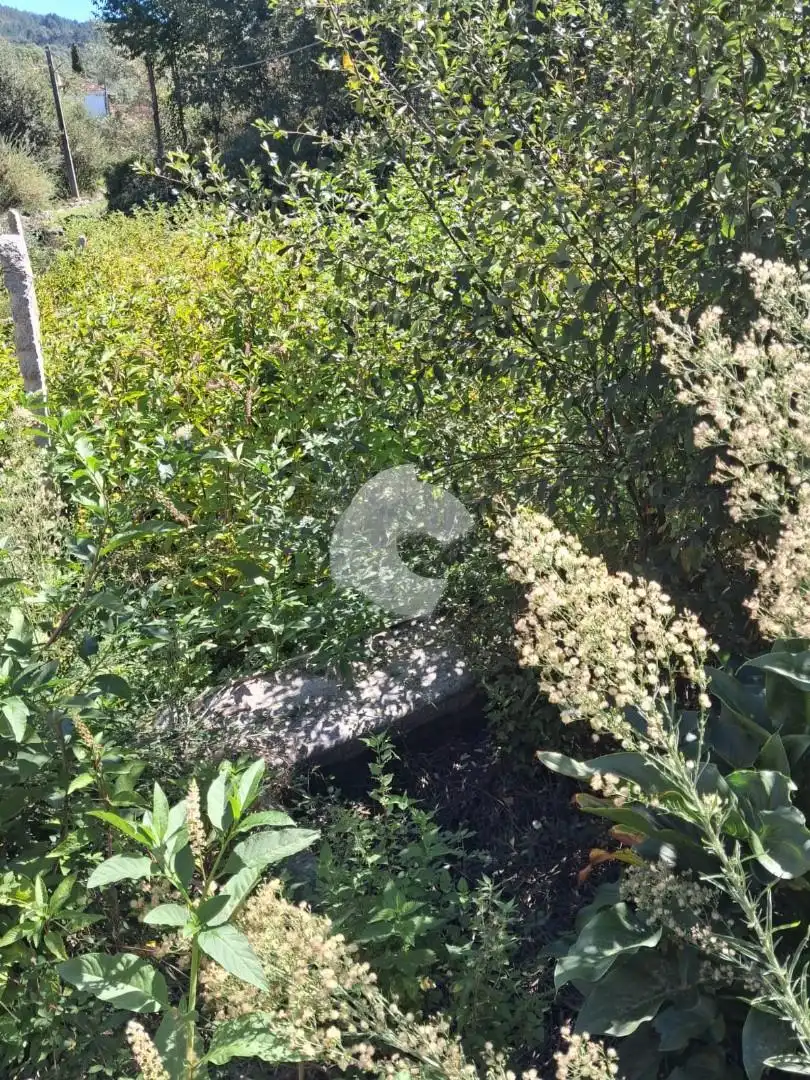 Casa amb jardí en venda a Entrimo, imagen 18