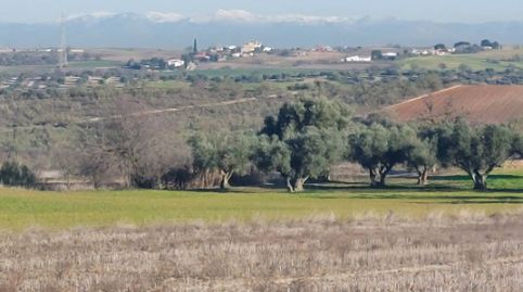 Foto 4 von Residential zum Verkauf in Cedillo del Condado, Toledo