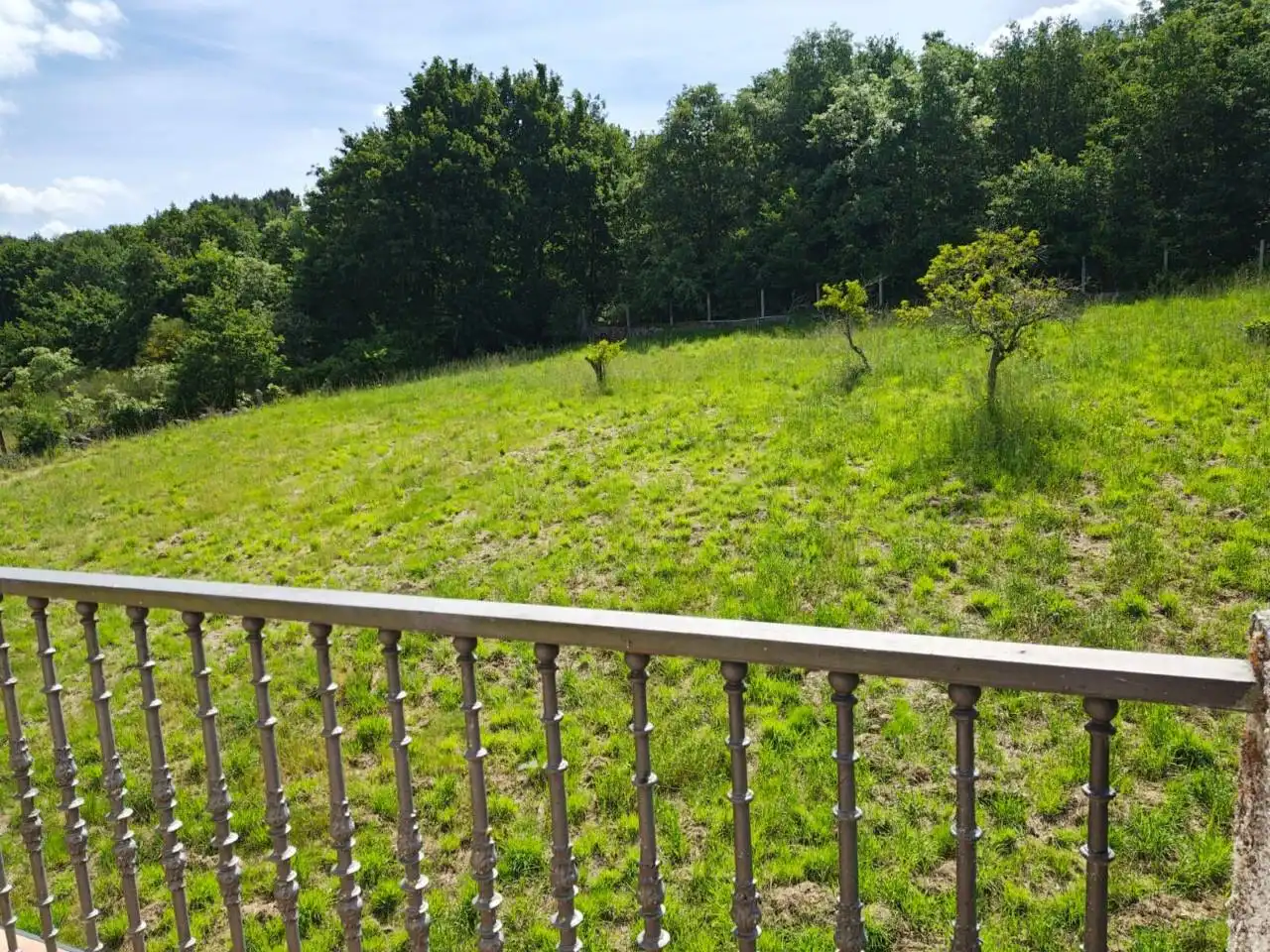 Casa amb jardí en venda a O Pereiro de Aguiar, imagen 47