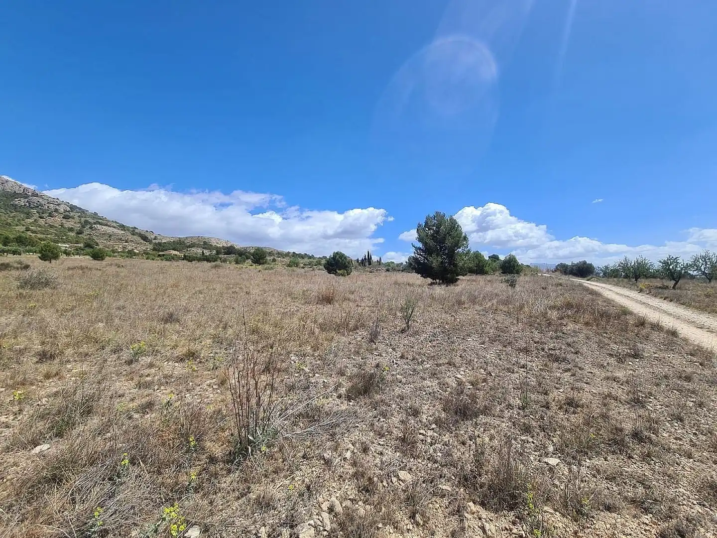 Rural land for sale in Las Tiesas, imagen 3