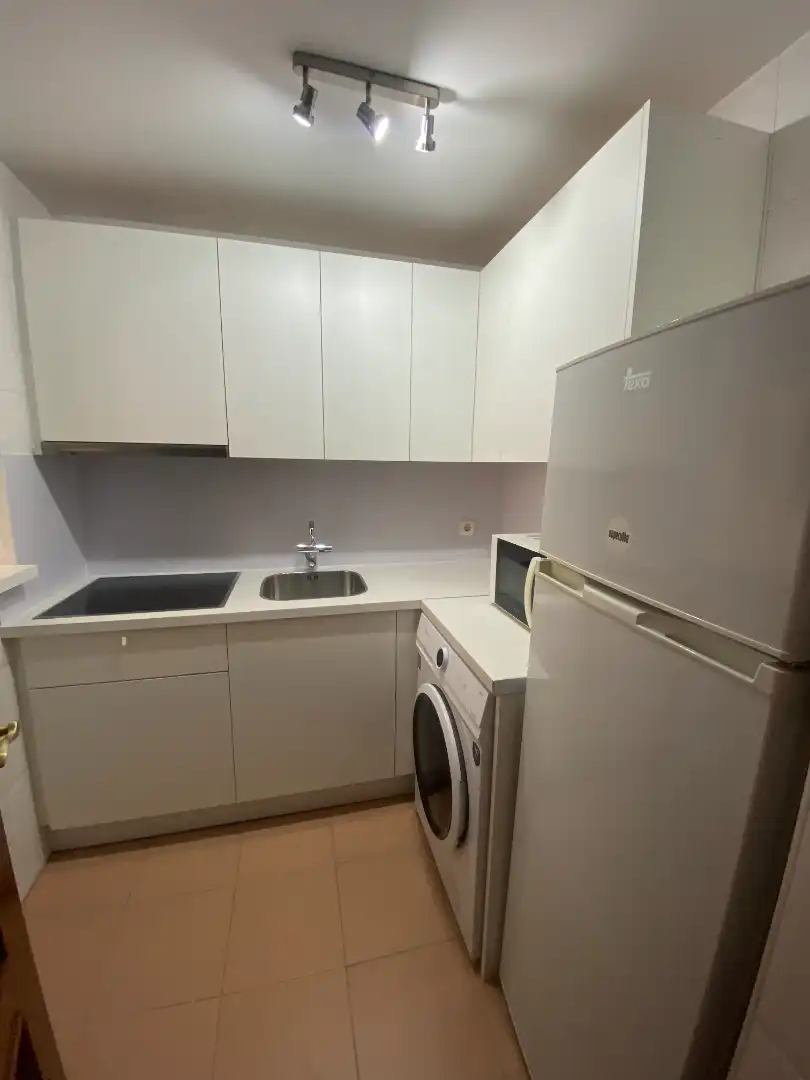 Kitchen of Apartments for rent in Málaga  with Air Conditioner, Terrace and Furnished