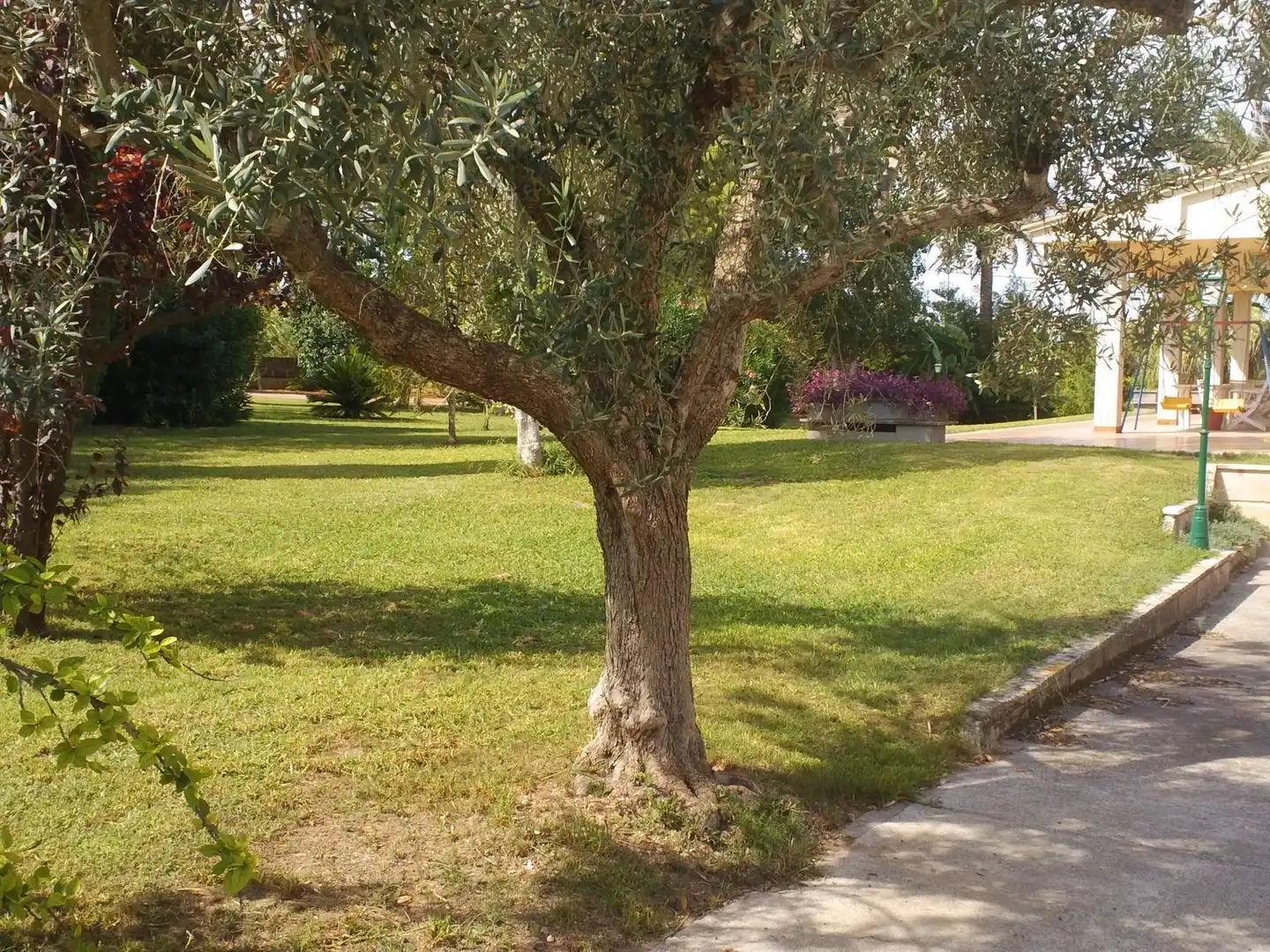 Maison à vendre à Manacor Centre, imagen 12