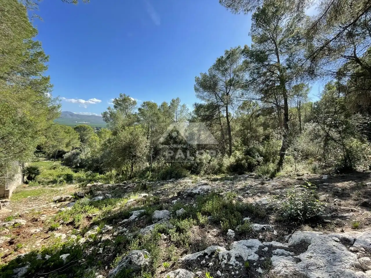 Terrenys i solars en venda a Carcaixent