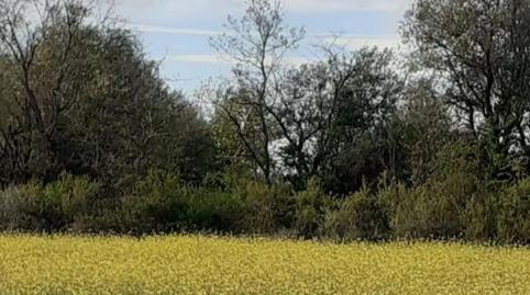 Foto 2 de Residencial en venda a Santo Tomé del Puerto, Segovia