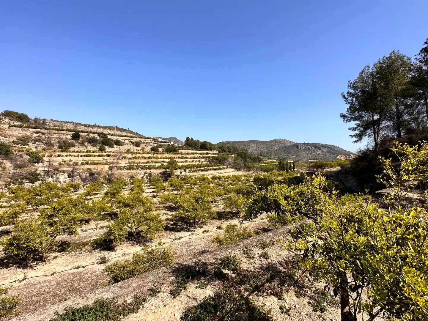 Residencial en venta en L'Atzúbia