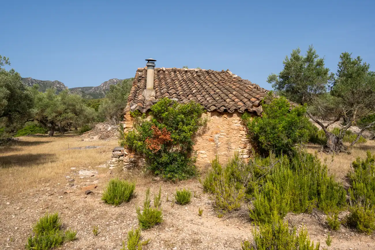 Vista exterior de Terreno en venta en El Perelló