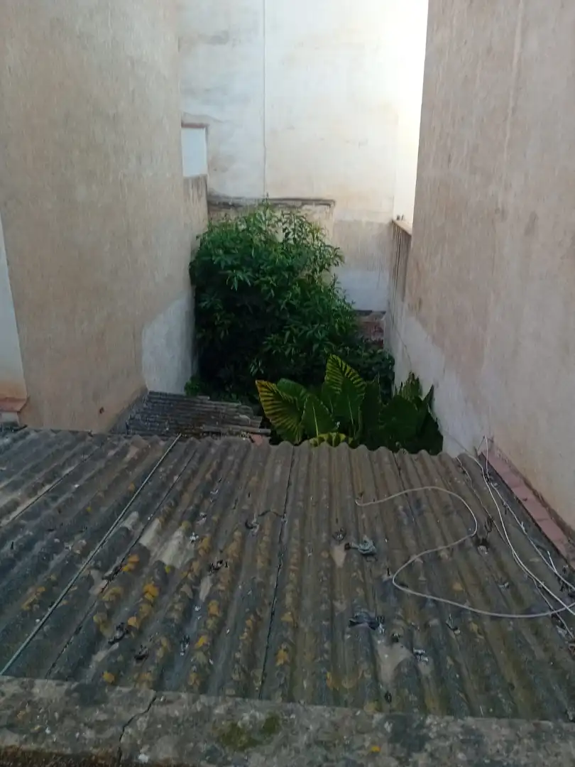 Casa o xalet en venda en Calella amb Jardí privat i Terrassa