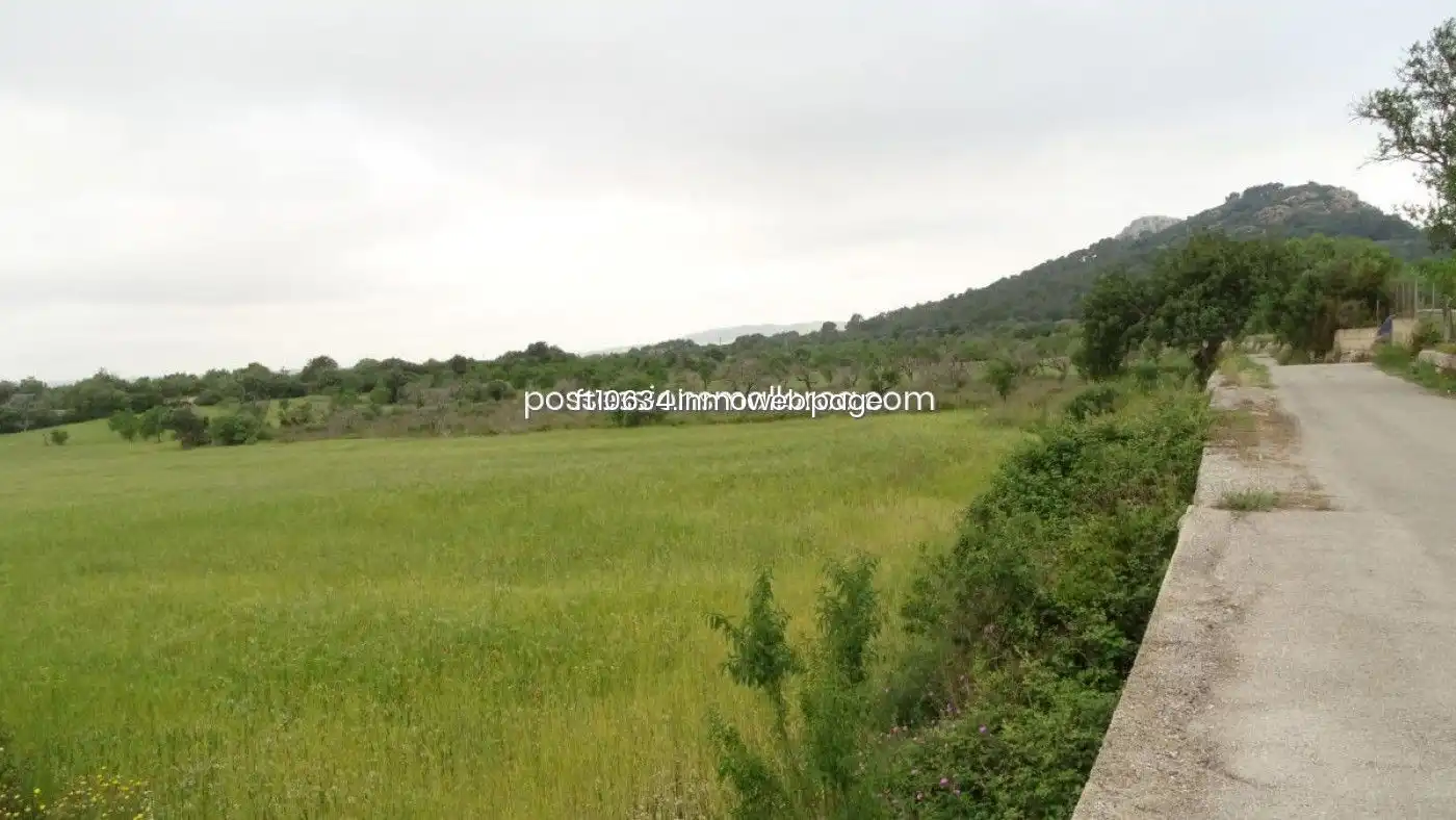 Terreno rustico in vendita a Llucmajor pueblo, imagen 2