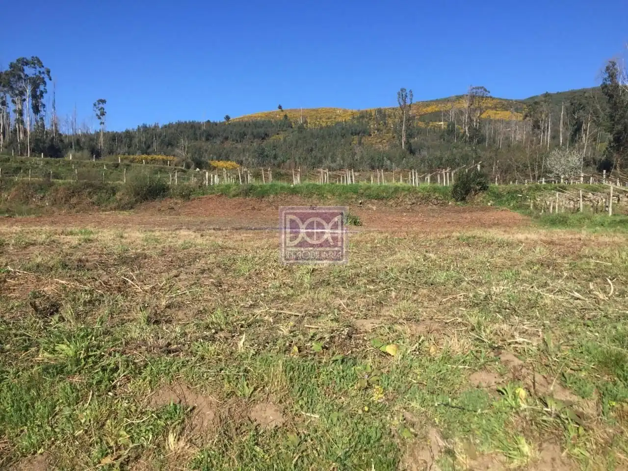 Terreno residenziale in vendita a As Neves, imagen 4