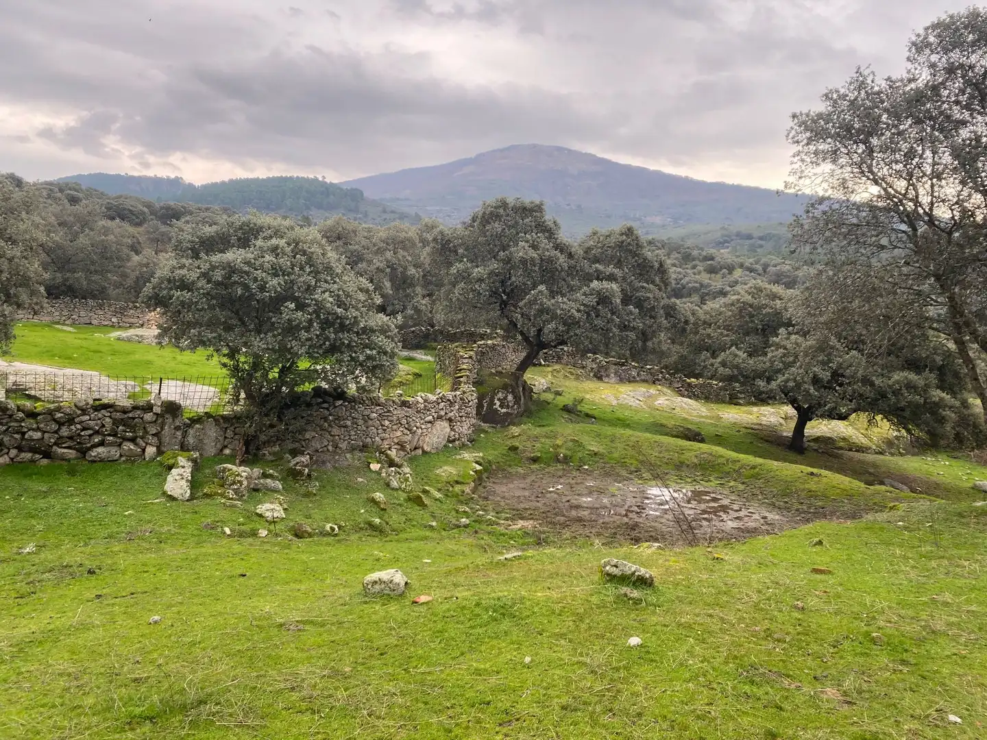 Terreno en venta en Navamorcuende