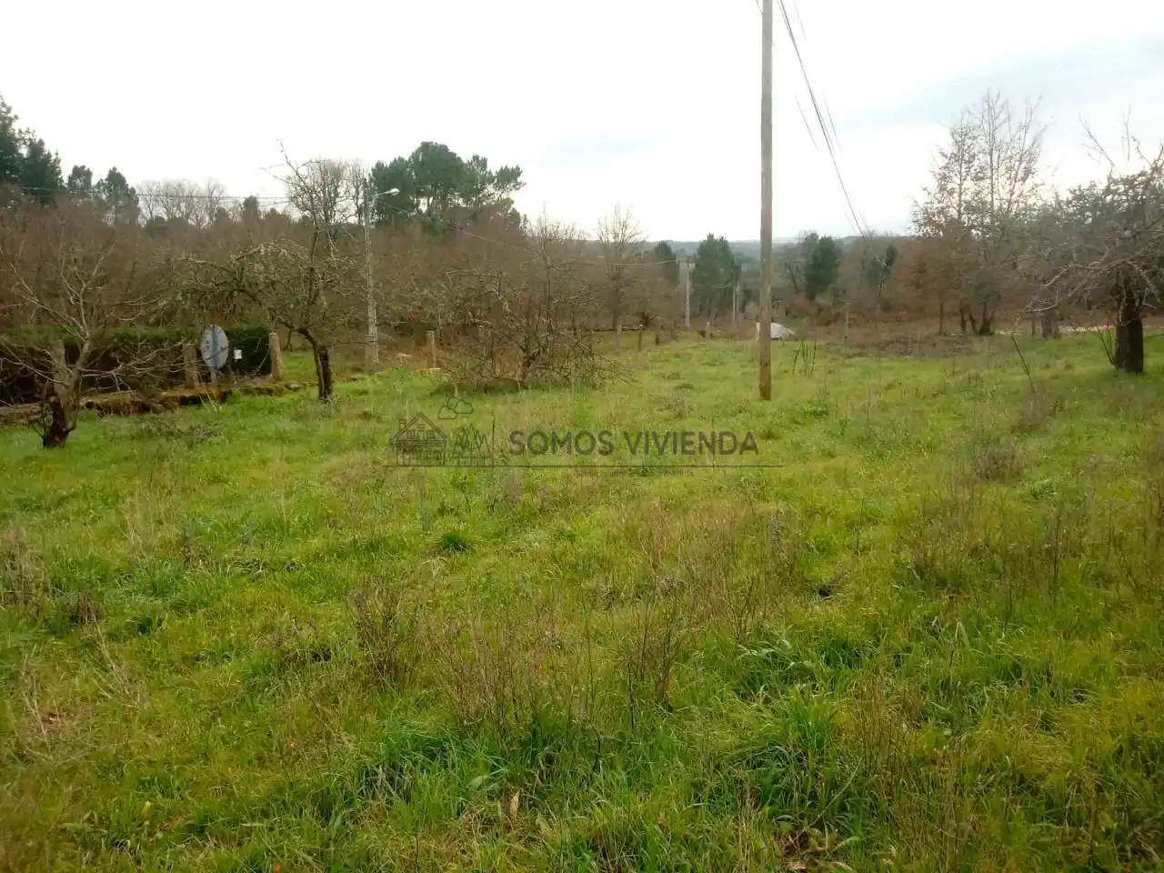 Terreni e lotti in vendita a San Cibrao das Viñas, imagen 6