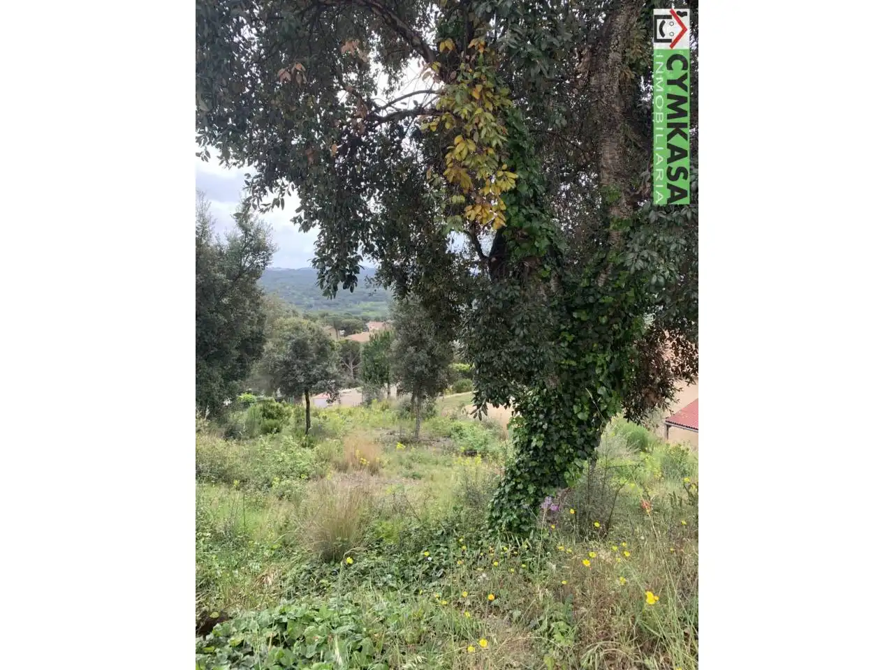 Terreno residencial en venta en Mas Mora - Sant Daniel, imagen 3