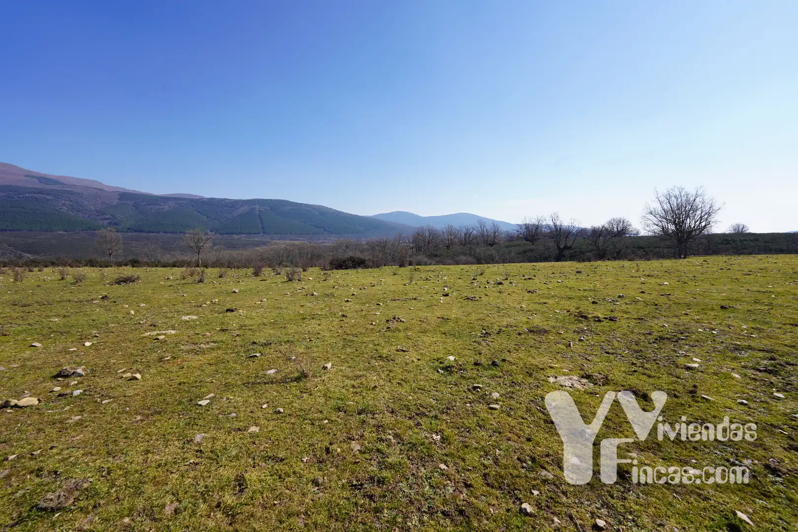 Terreno rústico en venta en Campillo de Ranas, imagen 13