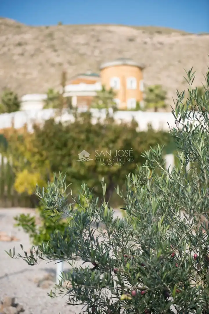 Villa avec terrasse à vendre à Hondón de las Nieves / El Fondó de les Neus, imagen 31