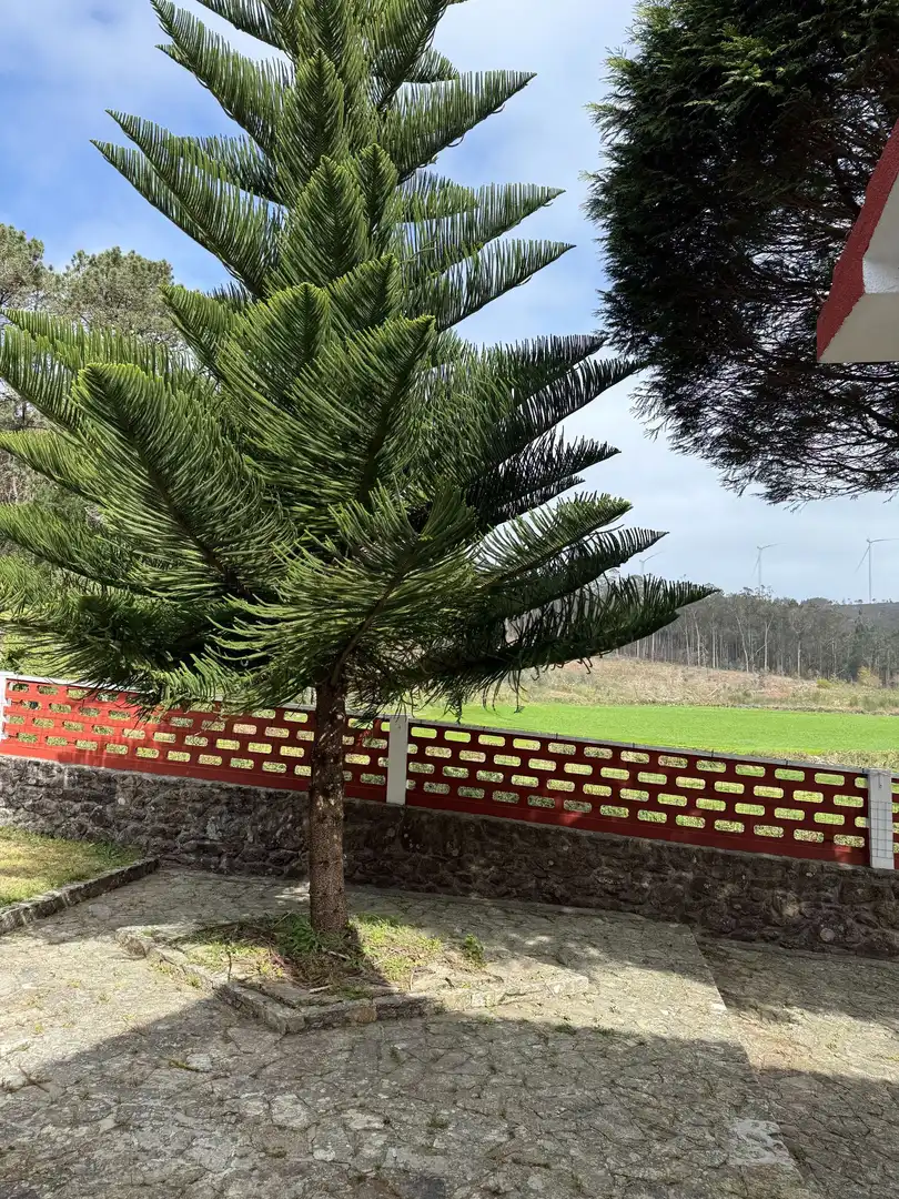 Jardín de Casa o chalet en venta en Muxía con Calefacción y Jardín privado